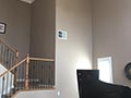 crown moulding folsom